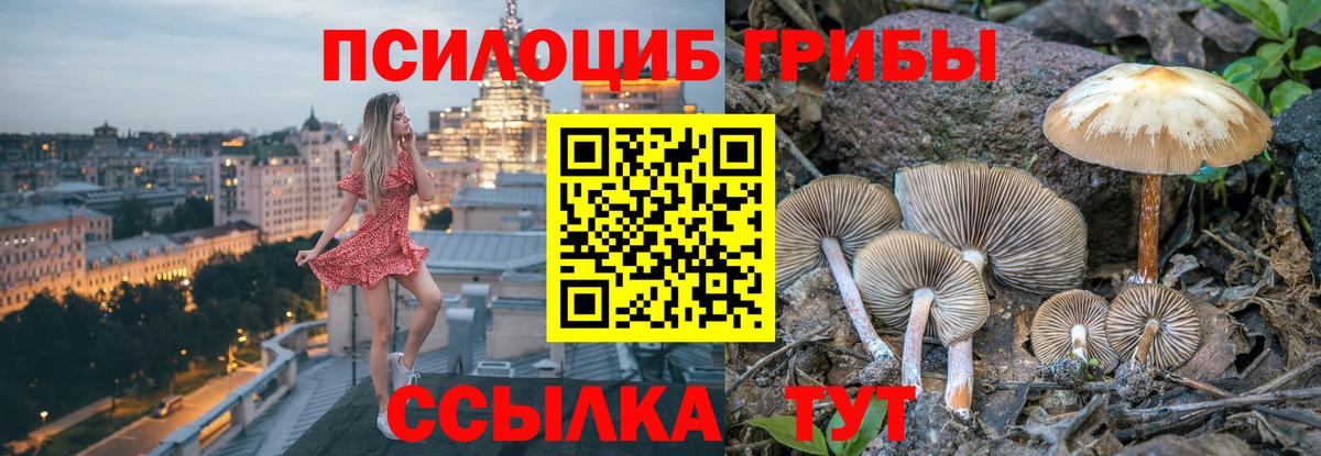 Псилоцибиновые грибы ЛСД  Вход с VPN  Свободный 